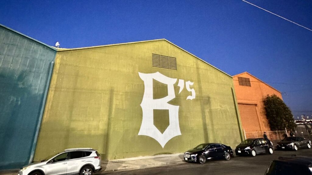 The baller in Auckland was made by AI to manage the team. What’s not going well?