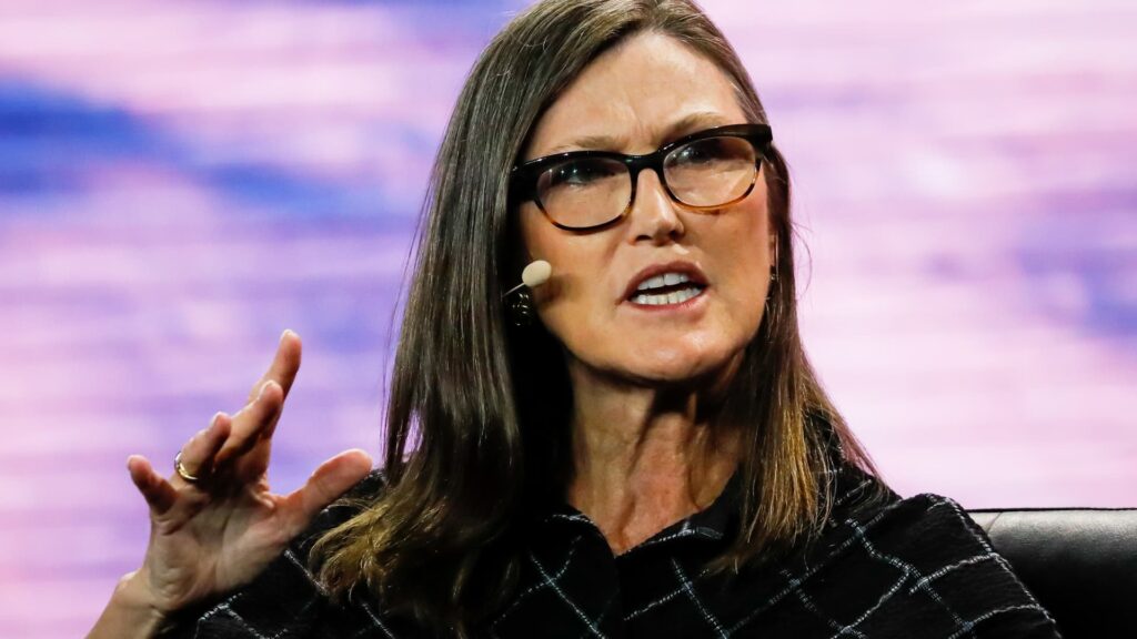 ARK Invest’s Cathie Wood sees explosive profits in this AI application