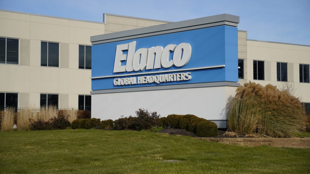 Healthy stock for this animal has increased by 70% in 2025. JPMorgan says it’s making more profits