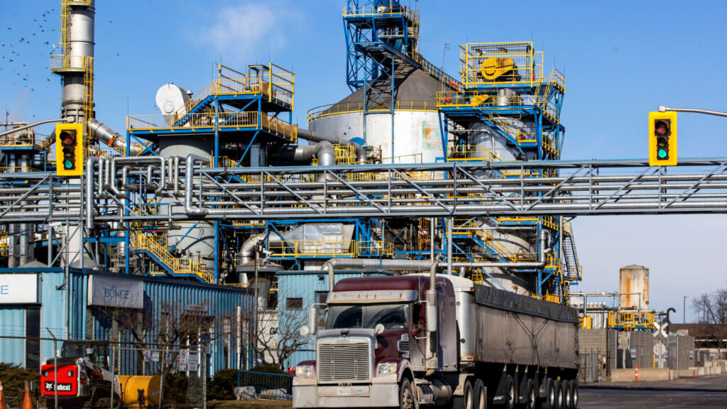 Bunge stock soars after President Trump considers embargo on Chinese edible oils