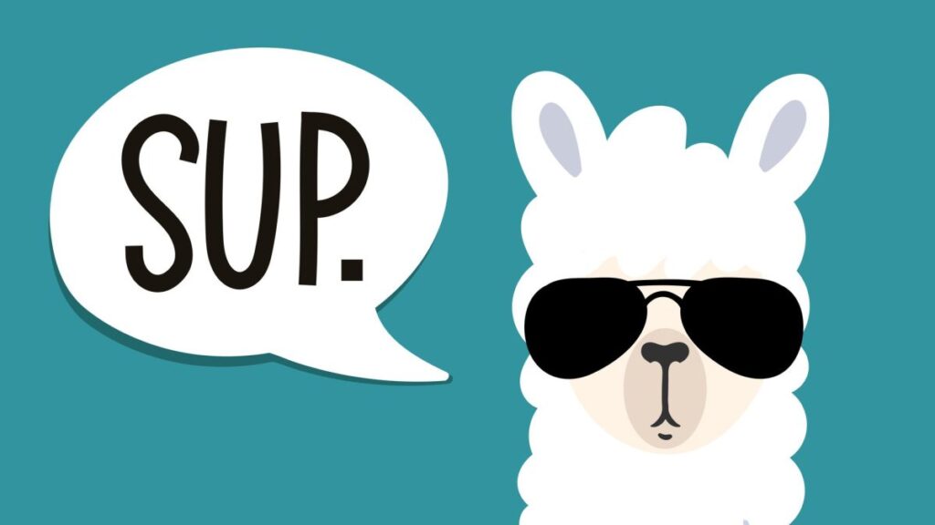 Metalama: Everything you need to know about open-generated AI models