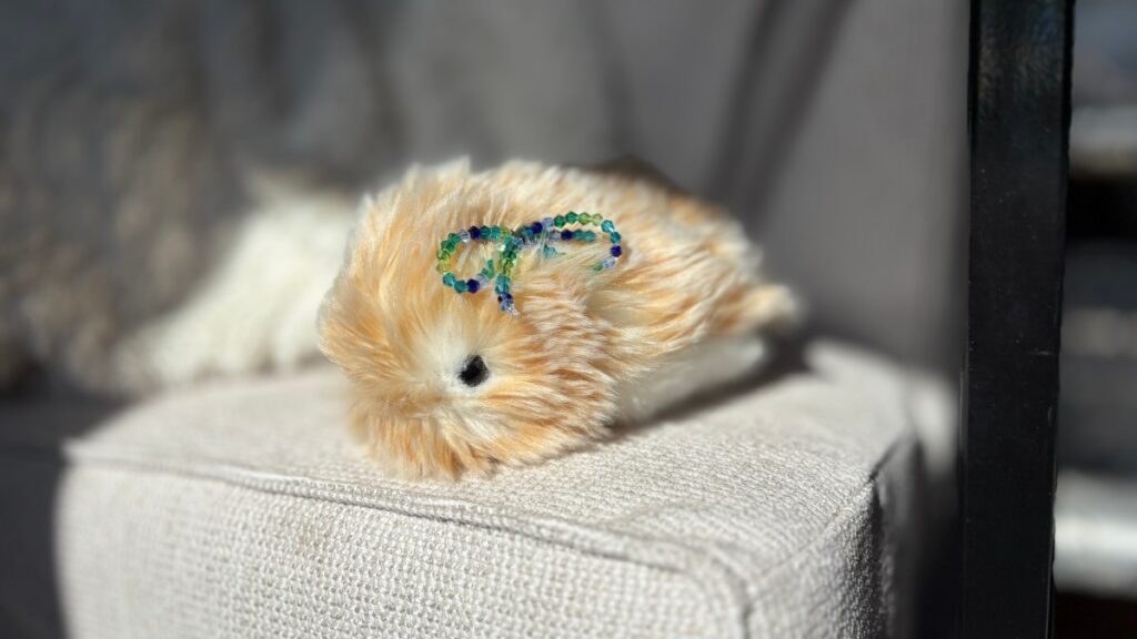 Lived with Cassio Mofflin, a $430 AI pet, for a month