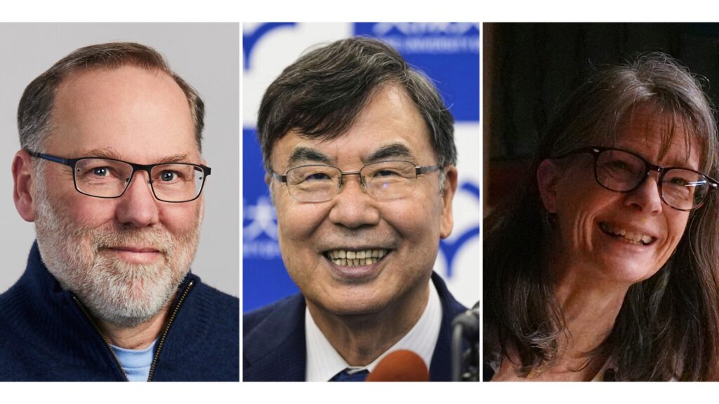 Mary E. Brunkow, Fred Ramsdell and Shimon Sakaguchi win the Nobel Prize in Medicine