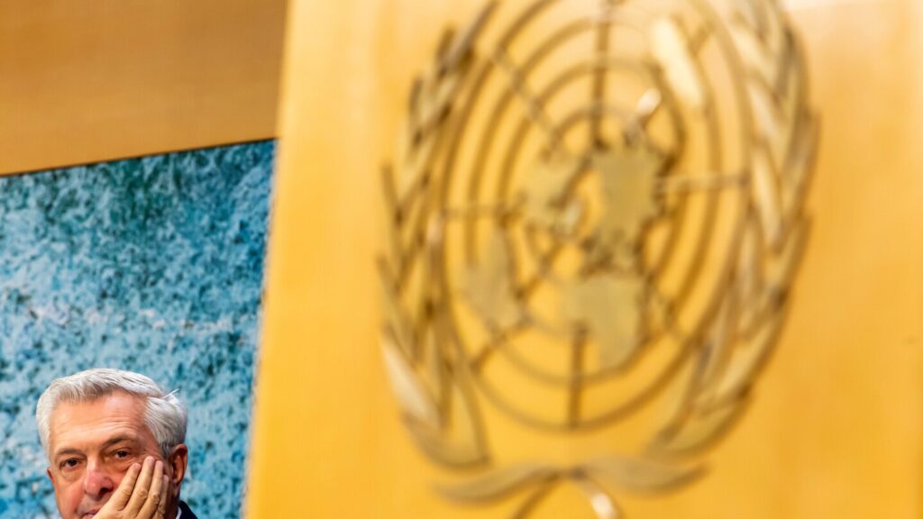 The UN Refugee Agency Chief is concerned about backlash against immigration