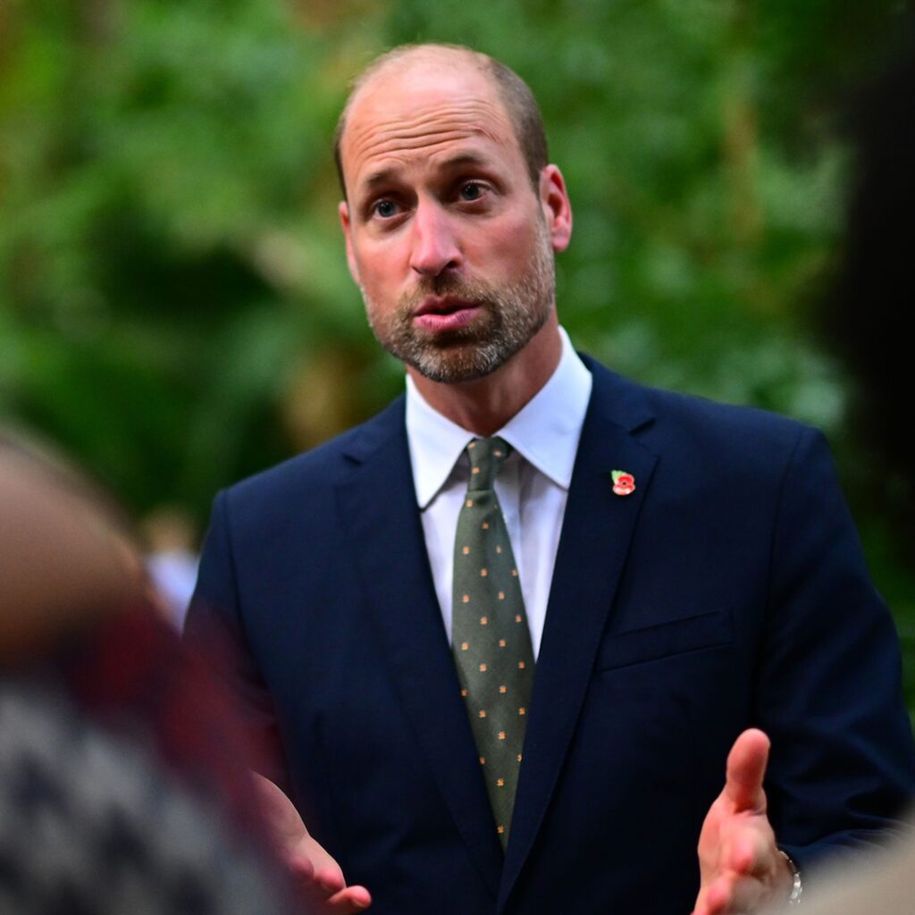 Prince William talks about Robert Irwin’s Dancing with the Stars video