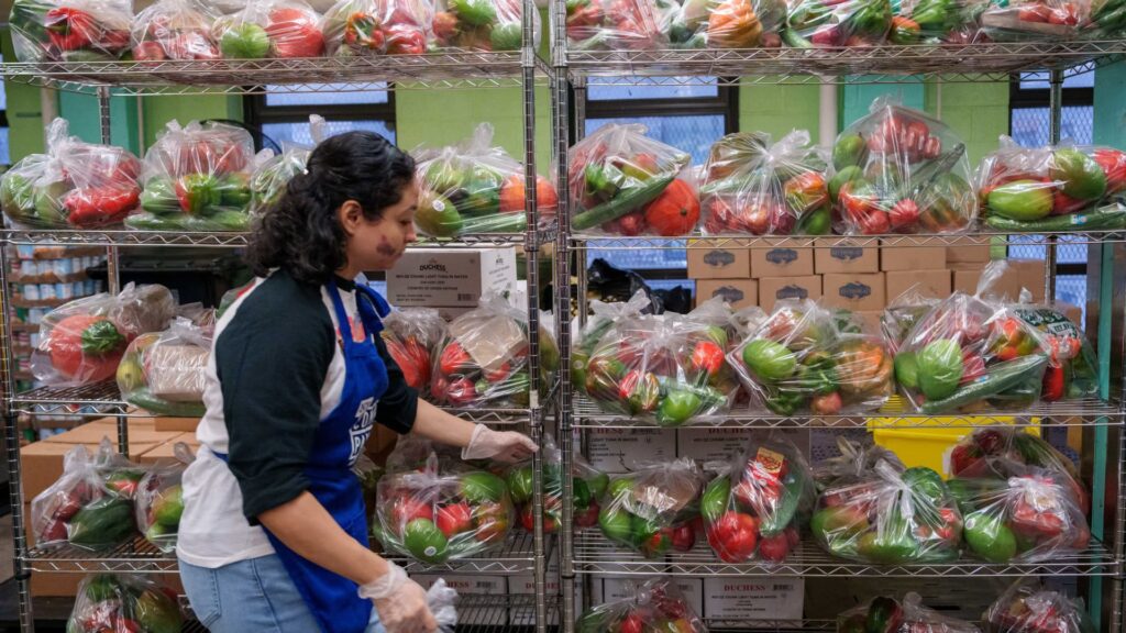SNAP food stamps, hunger, and America wastes $400 billion in meals each year