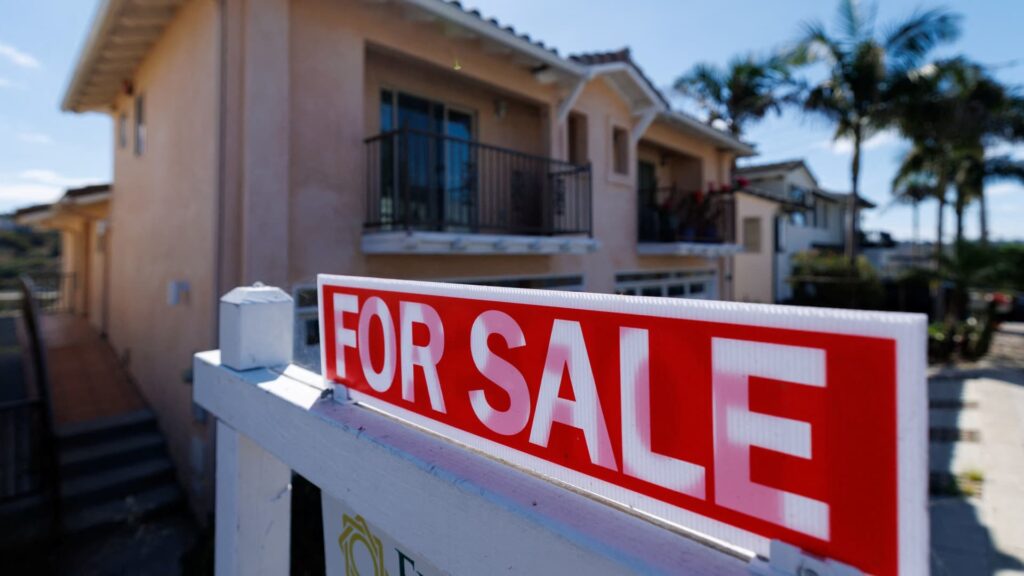 Blackstone Options Trading Could Profit After Trump Bombs Wall Street