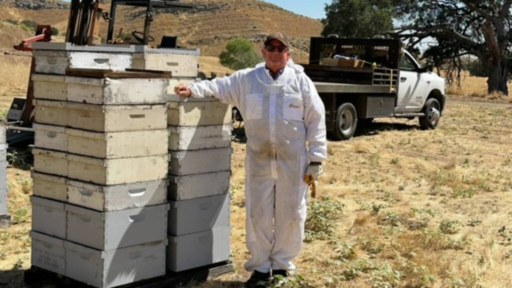 How a 70-year-old bee farmer keeps his family farm afloat