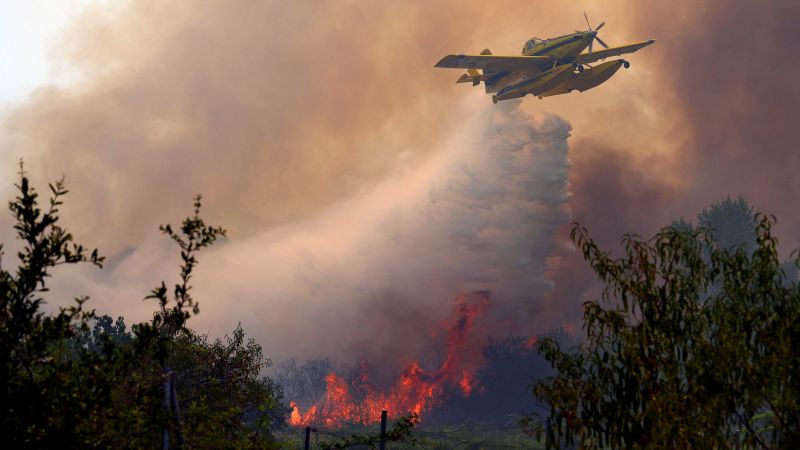 Live updates: Spain and France continue to battle wildfires, with intense heat expected in fire zones
